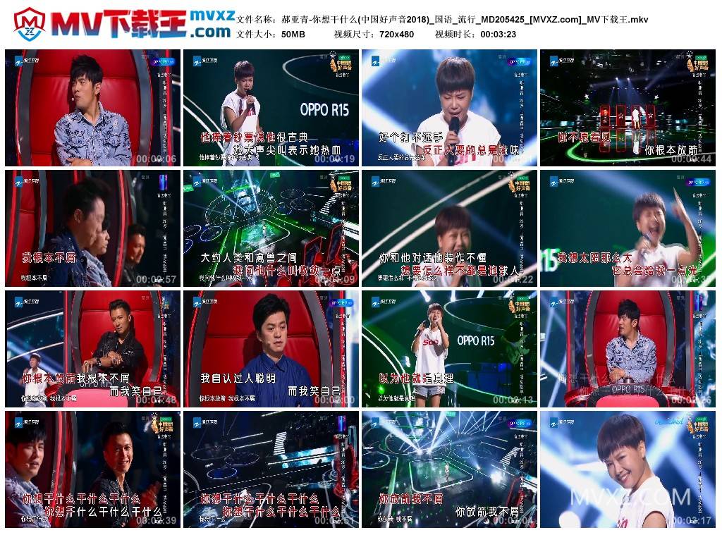 郝亚青-你想干什么(中国好声音2018)_国语_流行_MD205425